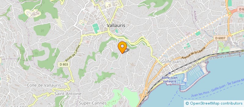 localisation de l'entreprise AVRIMMO à VALLAURIS