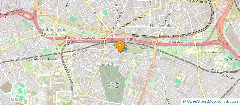localisation de l'entreprise AVS RENOVATION EXTENSION à LILLE