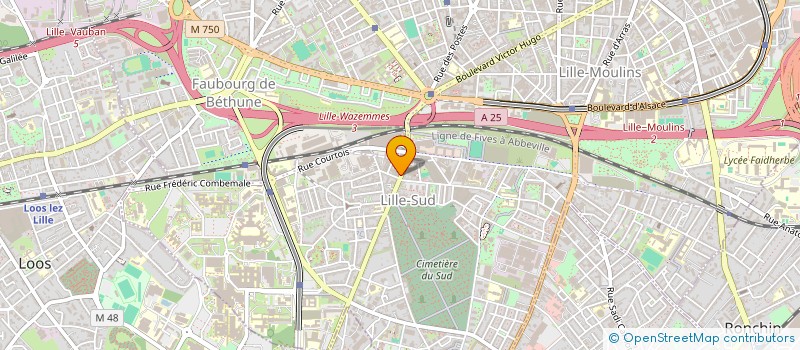 localisation de l'entreprise AYA POINT COM à LILLE