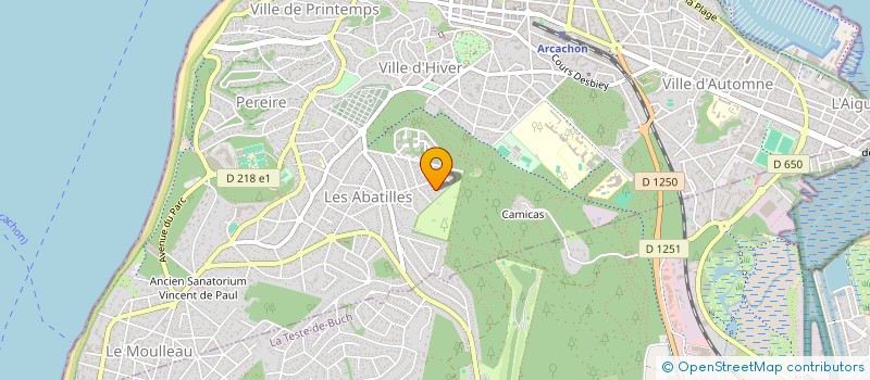 localisation de l'entreprise AYC MUSIQUES  ARCACHON