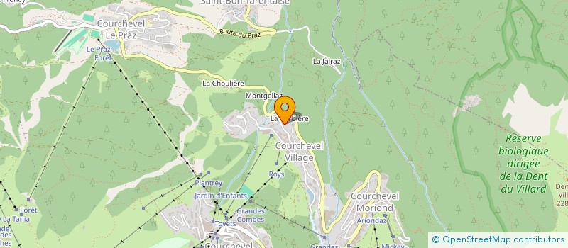 localisation de l'entreprise AZ FZ TRANSPORTS à COURCHEVEL