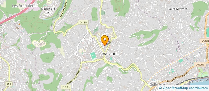 localisation de l'entreprise AZUR AB AUREA  VALLAURIS