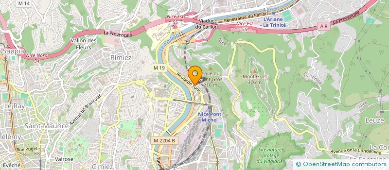 localisation de l'entreprise AZUR ACTION AVENIR ASSOCIE à NICE