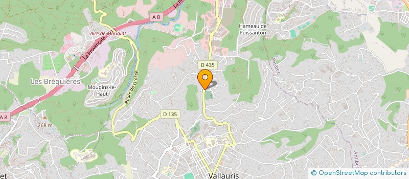 localisation de l'entreprise AZUR AVC  VALLAURIS