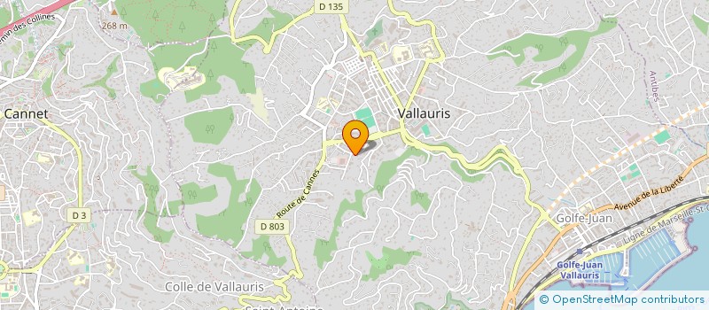 localisation de l'entreprise AZUR B VITRE  VALLAURIS