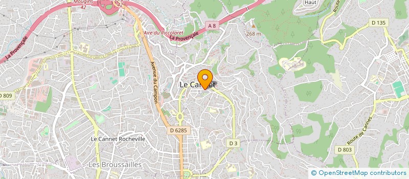 localisation de l'entreprise AZUR CONCEPT à LE CANNET
