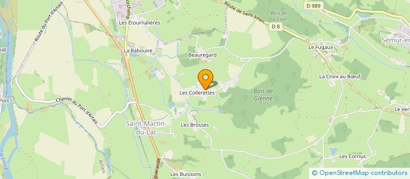 localisation de l'entreprise AZUR'ELEC BOURGOGNE/RHONE-ALPES  SAINT-MARTIN-DU-LAC