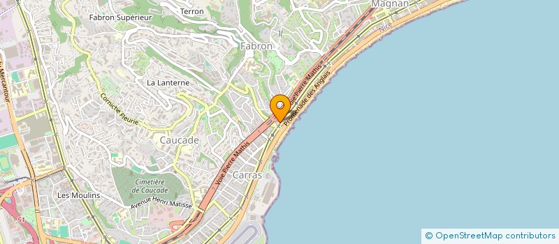 localisation de l'entreprise AZUR HOTTES SERVICES  NICE