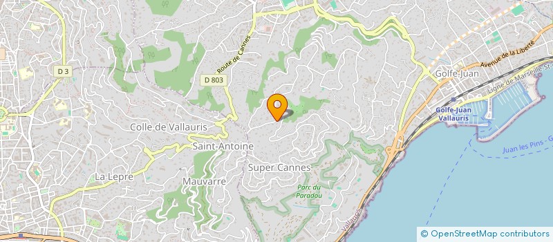 localisation de l'entreprise AZUR MG PROPERTY  VALLAURIS