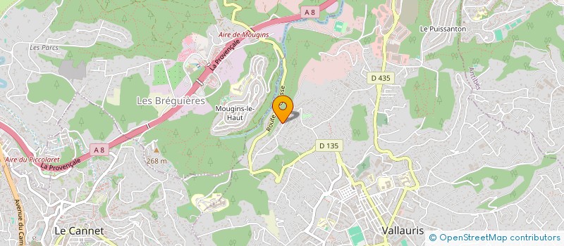 localisation de l'entreprise AZUR NUMERIQUE à VALLAURIS