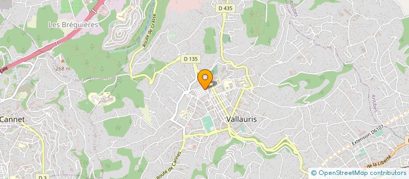 localisation de l'entreprise AZUR PRO RENOV  VALLAURIS