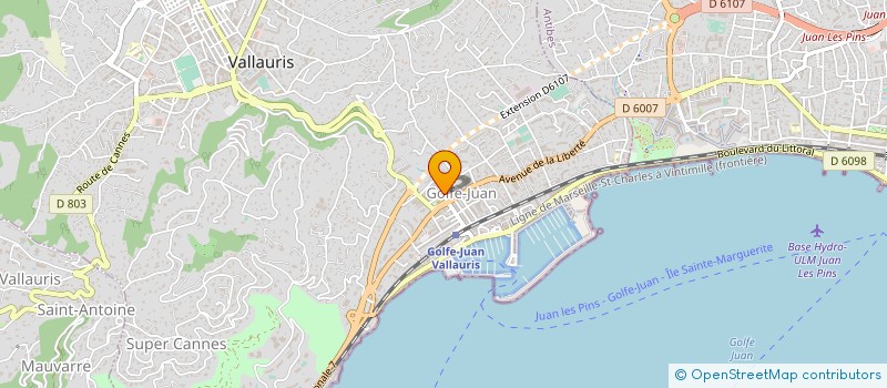 localisation de l'entreprise AZUR SERVICES à VALLAURIS