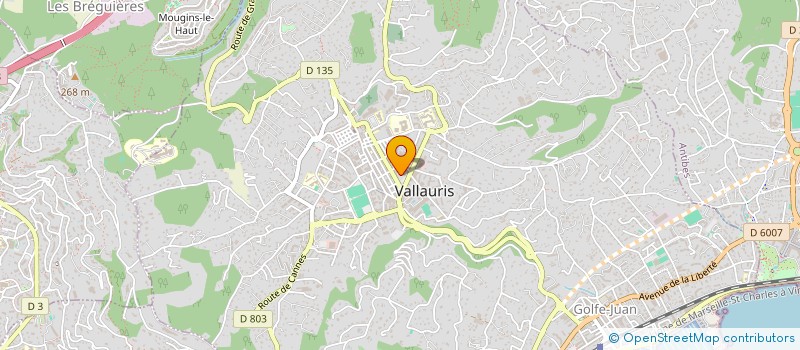 localisation de l'entreprise AZUR TECHNO COM à VALLAURIS