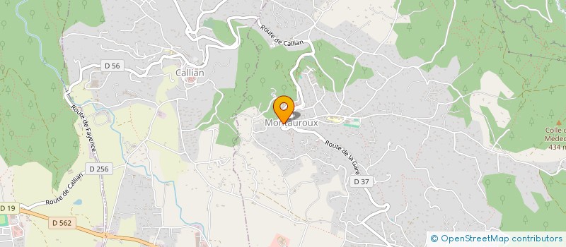 localisation de l'entreprise AZUREENNE INVESTISSEMENTS PARTICIPATIONS à MONTAUROUX