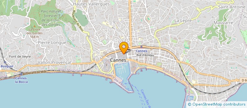 localisation de l'entreprise AZZO 21  CANNES