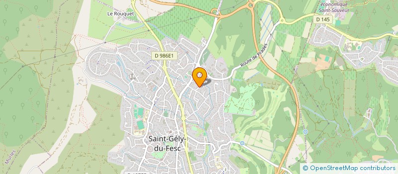 localisation de l'entreprise B&D STRATEGIE à SAINT-GELY-DU-FESC