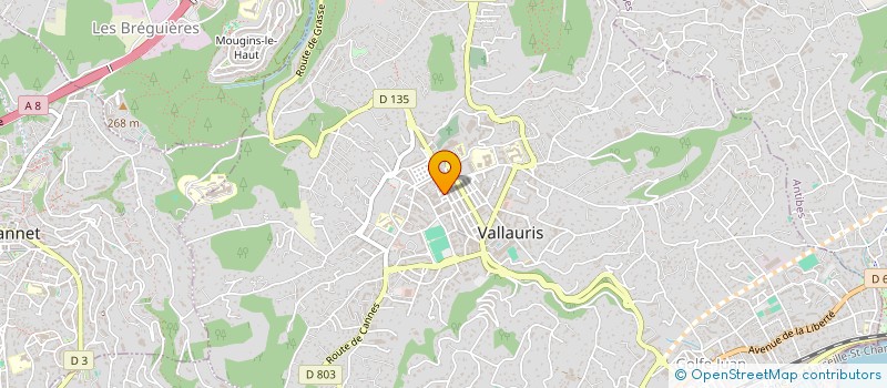 localisation de l'entreprise B H C à VALLAURIS