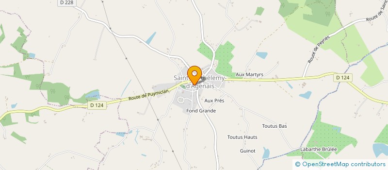 localisation de l'entreprise B.L.M.IMMOBILIER  SEYCHES