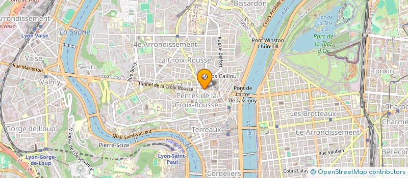 localisation de l'entreprise B-LINK CONSEIL  LYON