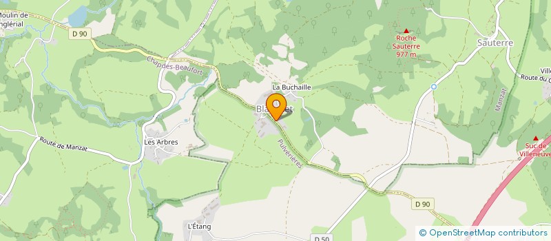 localisation de l'entreprise B&M SERVICES  MANZAT