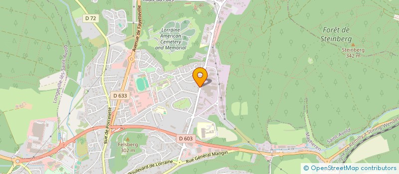 localisation de l'entreprise B.N.S.  SAINT-AVOLD