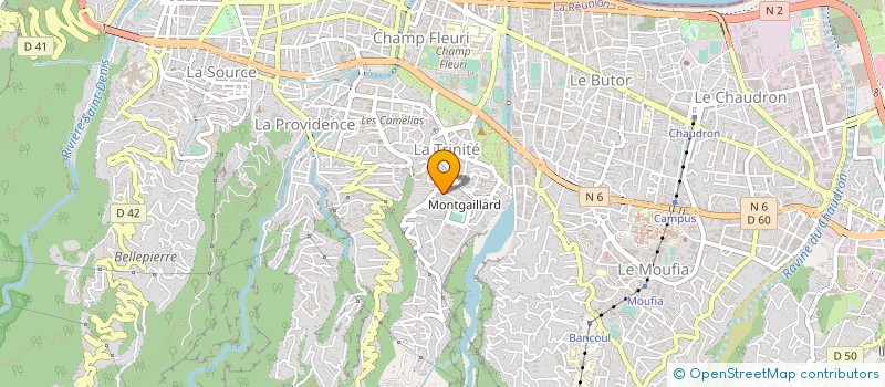 localisation de l'entreprise B P CONSEIL à SAINT-DENIS