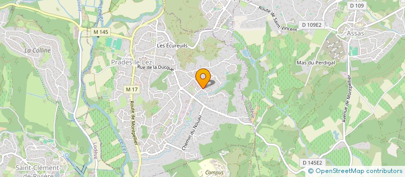 localisation de l'entreprise B.REMONDIN HOLDING  PRADES-LE-LEZ