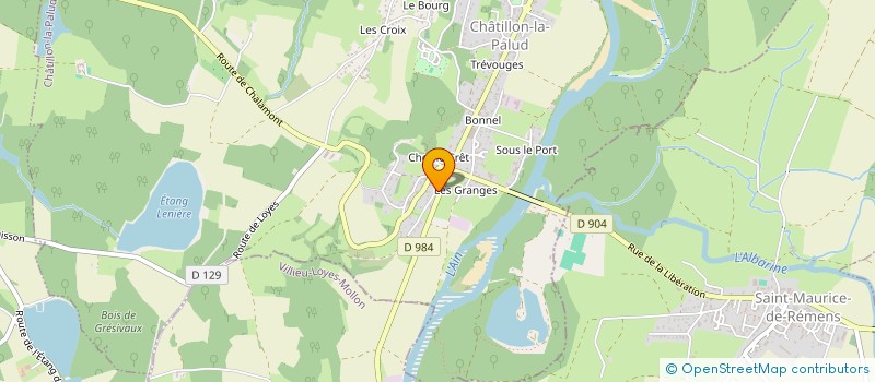 localisation de l'entreprise B.S ELEC  CHATILLON-LA-PALUD