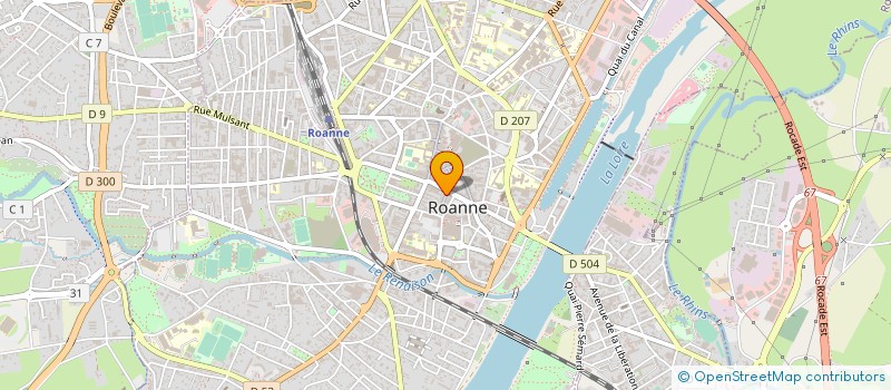 localisation de l'entreprise BACCHUS  ROANNE