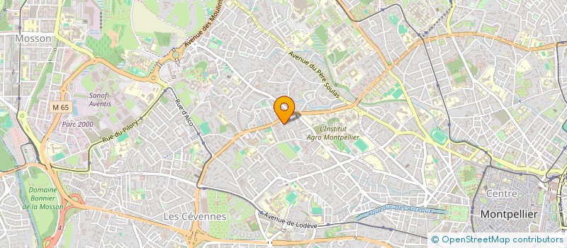 localisation de l'entreprise BACHATA WOMAN à MONTPELLIER