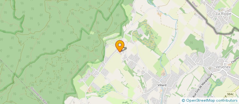 localisation de l'entreprise BAHAY SOLEIL  DIVONNE-LES-BAINS