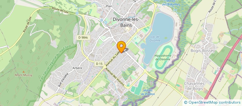 localisation de l'entreprise BAINS LES BAINS  DIVONNE-LES-BAINS