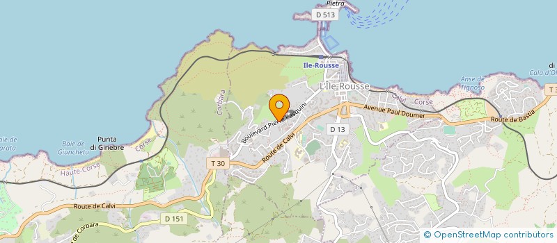 localisation de l'entreprise BALAGNE DISTRIBUTION à L'ILE-ROUSSE