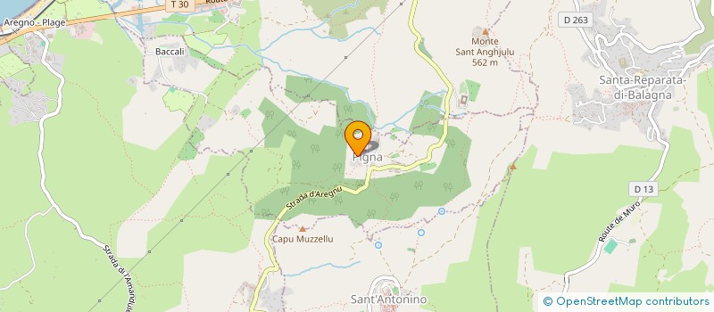 localisation de l'entreprise BALANINA  PIGNA