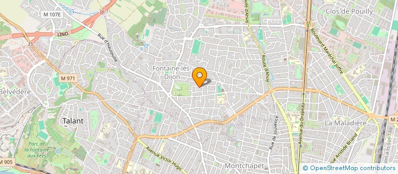 localisation de l'entreprise BALLON POUR TOUS  FONTAINE-LES-DIJON