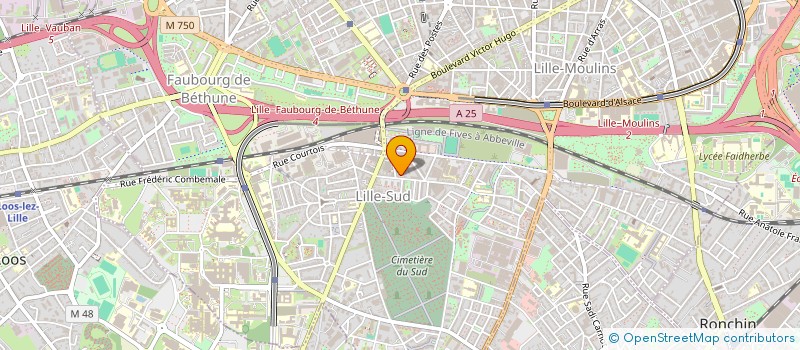 localisation de l'entreprise BALZAC FIT à LILLE