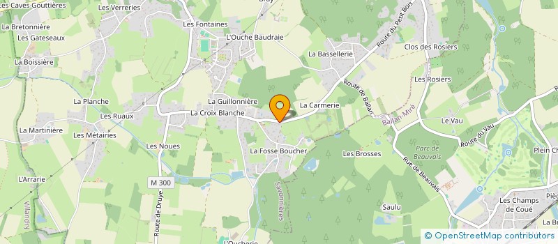 localisation de l'entreprise BAM INVESTISSEMENT à SAVONNIERES