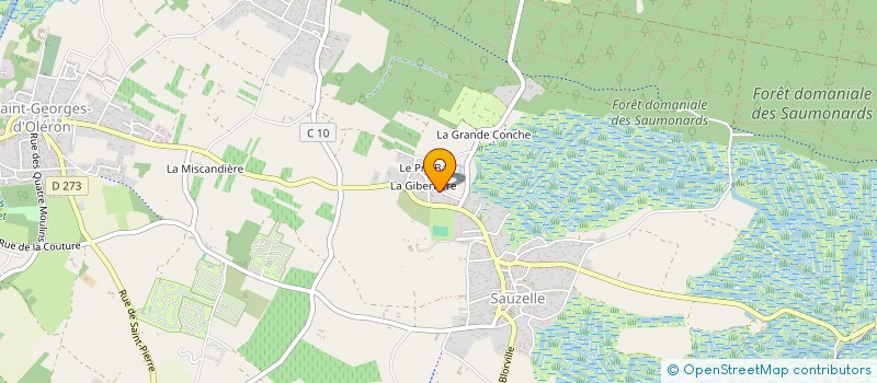 localisation de l'entreprise BAMAMA  SAINT-GEORGES-D'OLERON