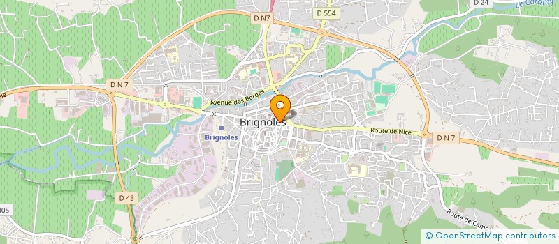 localisation de l'entreprise BAMBOU  BRIGNOLES