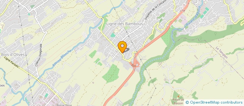 localisation de l'entreprise BAMBOUS 21 à SAINT-PIERRE