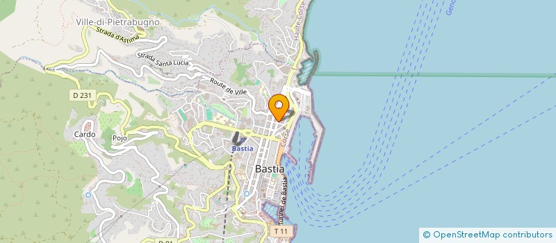 localisation de l'entreprise BANGKOK THAI SASU  BASTIA