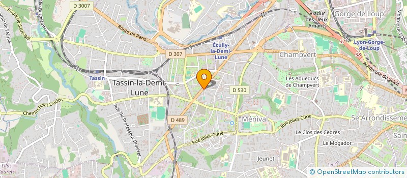 localisation de l'entreprise BAR A PIZZA à TASSIN-LA-DEMI-LUNE