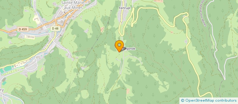 localisation de l'entreprise BAR DANSANT LE MADISON à SAINTE-MARIE-AUX-MINES