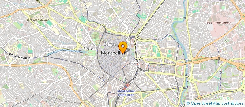 localisation de l'entreprise BAR DU MUSEE à MONTPELLIER
