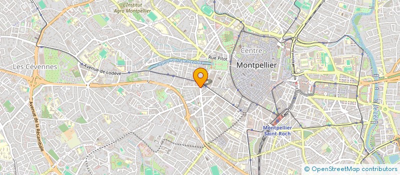 localisation de l'entreprise BAR RESTAURANT LE PALMIER à MONTPELLIER