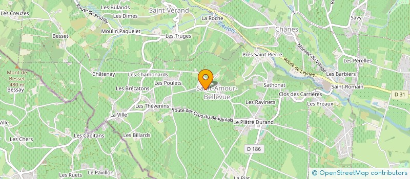 localisation de l'entreprise BARBET - DOMAINE DES BILLARDS à SAINT-AMOUR-BELLEVUE
