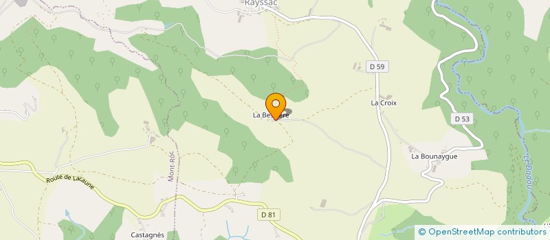 localisation de l'entreprise BARDOU DE LA BESSIERE à RAYSSAC
