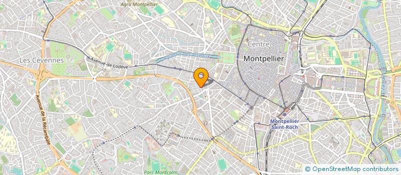 localisation de l'entreprise BARRIO LATINO  MONTPELLIER