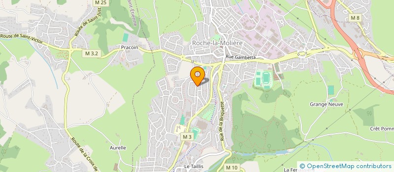 localisation de l'entreprise BASSBULDING  ROCHE-LA-MOLIERE