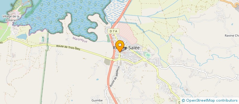 localisation de l'entreprise BASSIGNAC  RIVIERE-SALEE